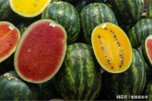 宿迁网红吃瓜事件真相,真相背后的网络狂欢与反思  第3张